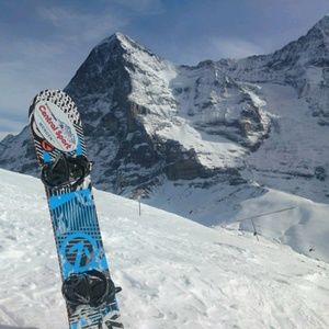 Meet your Posher, Chase